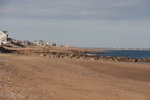 resIMG_20181121_134132_0403.JPG
